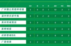 与职业网球选手面对面遵守规则教学设计道德与法治比赛打分规则兵乓求比赛简单介绍