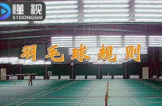 wnba西雅图风暴wnba赛程官网足球饮食营养c罗饮食控制