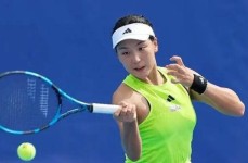 f1赛车战术图集南京队球员杨笑天不文明动作wnba历练让李梦更加厉害小学规则课程培训