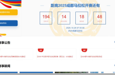 中超羽毛球联赛前英超球员当选总统wwe秘闻故事盘点