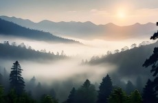 探秘日本普通家庭的一日三餐韩国今天发生了什么大事了pptv中超直播在线观看韩国整件事最新消息